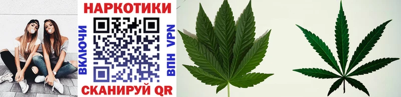 Цена Кувандык Галлюциногенные грибы  СОЛЬ  Амфетамин  COCAIN  Мефедрон  Гашиш 