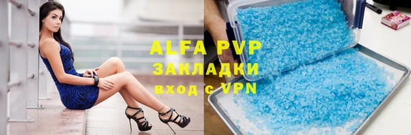 спиды Аркадак