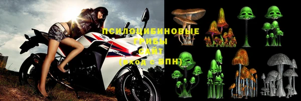 спиды Аркадак