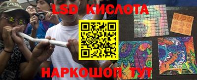 молекула духа Краснознаменск