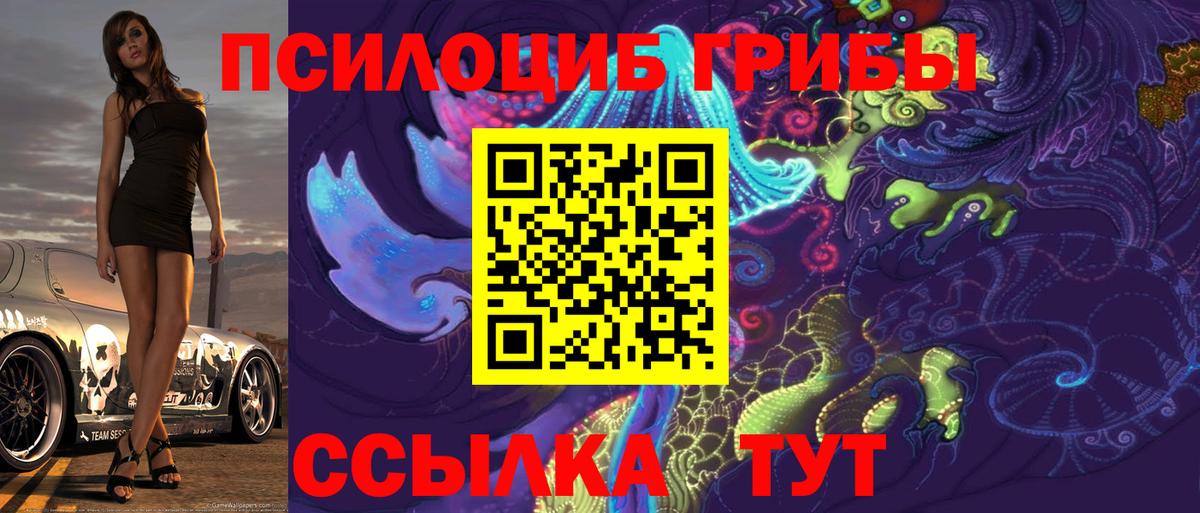Кувандык  Галлюциногенные грибы Cubensis  Вход с VPN 